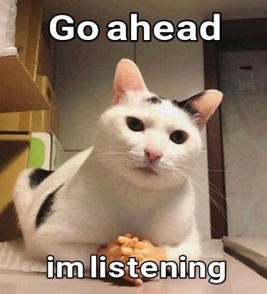Cat with tiny hands saying go ahead, I'm listening